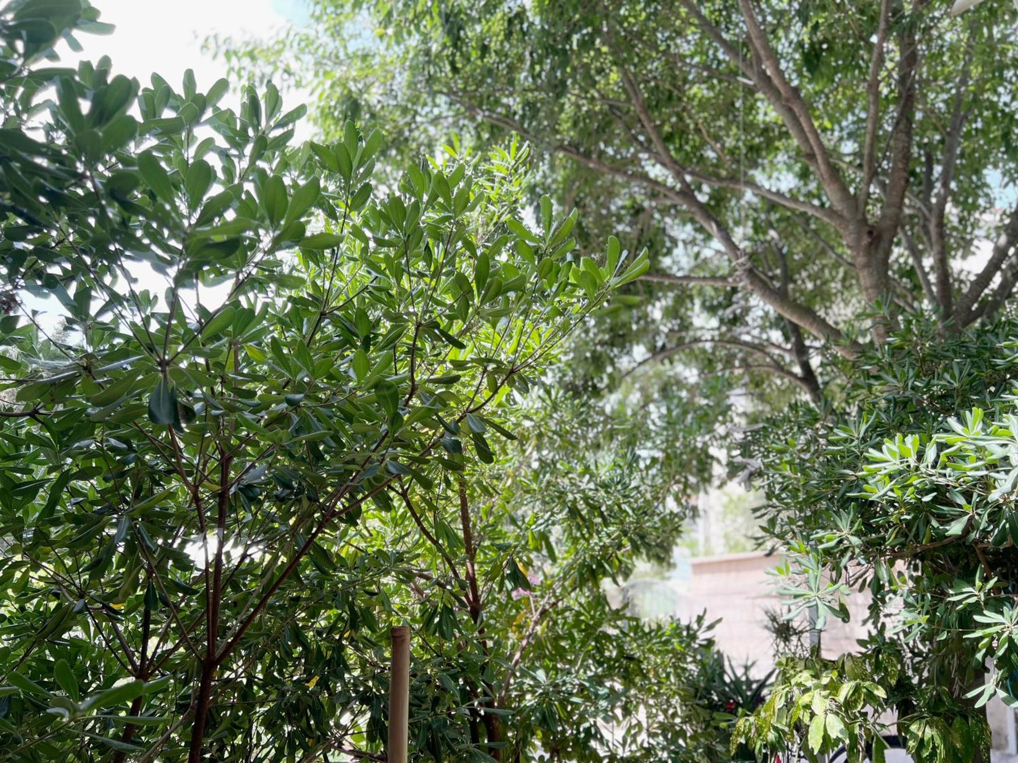 Room Tai - Spacious And Comfy With Private Terrace ฮวาร์ ภายนอก รูปภาพ